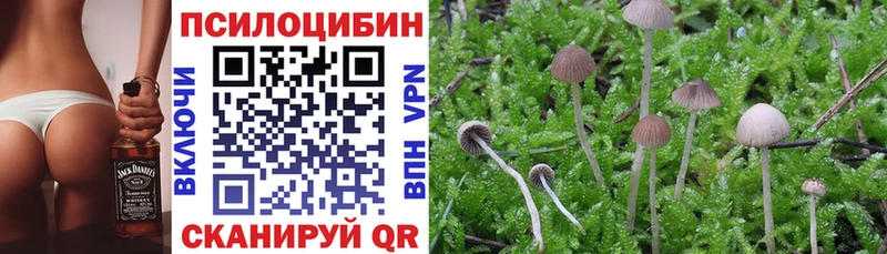 Псилоцибиновые грибы прущие грибы  Электрогорск 
